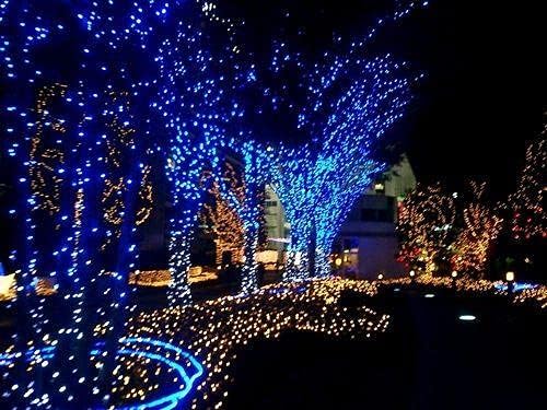 2-Pack Connectable Christmas Lights Outdoor, Total 164FT 400LED Christmas String Lights Waterproof with 8 Modes & Timer, Green Wire Twinkle Lights for Xmas Tree Decorations Outdoor Indoor, Blue