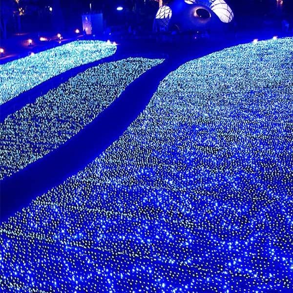 weillsnow Outdoor Christmas Decoration,66 FT 200 LED String Lights with Timer Memory Function,Plug in Waterproof Fairy Lights for Indoor Outdoor Home Room Garden Christmas Party Decor(Blue&White)